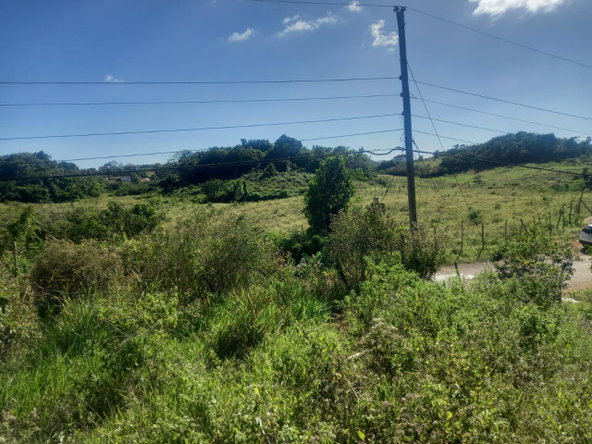 Fifth image of Albion Knockpatrick, Manc in Knockpatrick, Manchester, Jamaica - property is For Sale