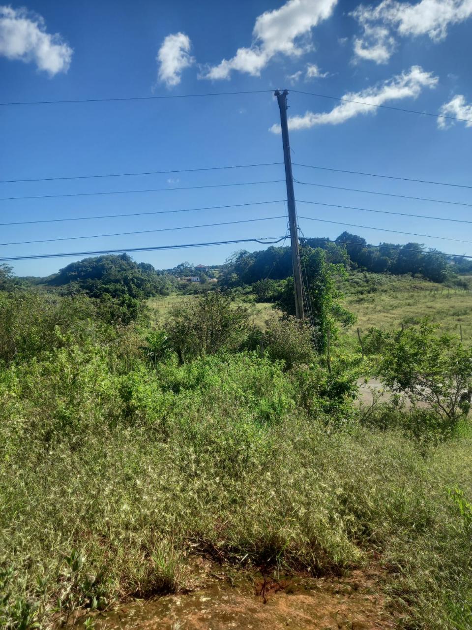 Sixth image of Albion Knockpatrick, Manc in Knockpatrick, Manchester, Jamaica - property is For Sale