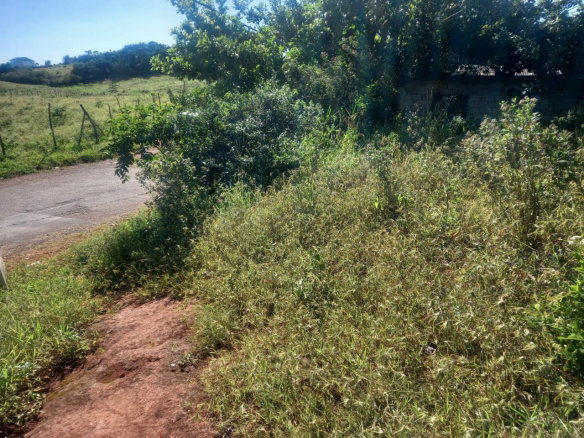 First image of Albion Knockpatrick, Manc in Knockpatrick, Manchester, Jamaica - property is For Sale