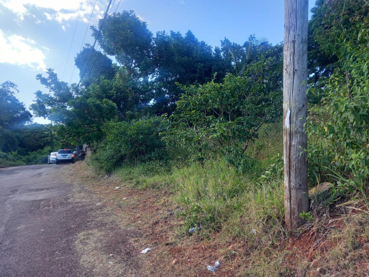 Seventh image of Albion Knockpatrick, Manc in Knockpatrick, Manchester, Jamaica - property is For Sale