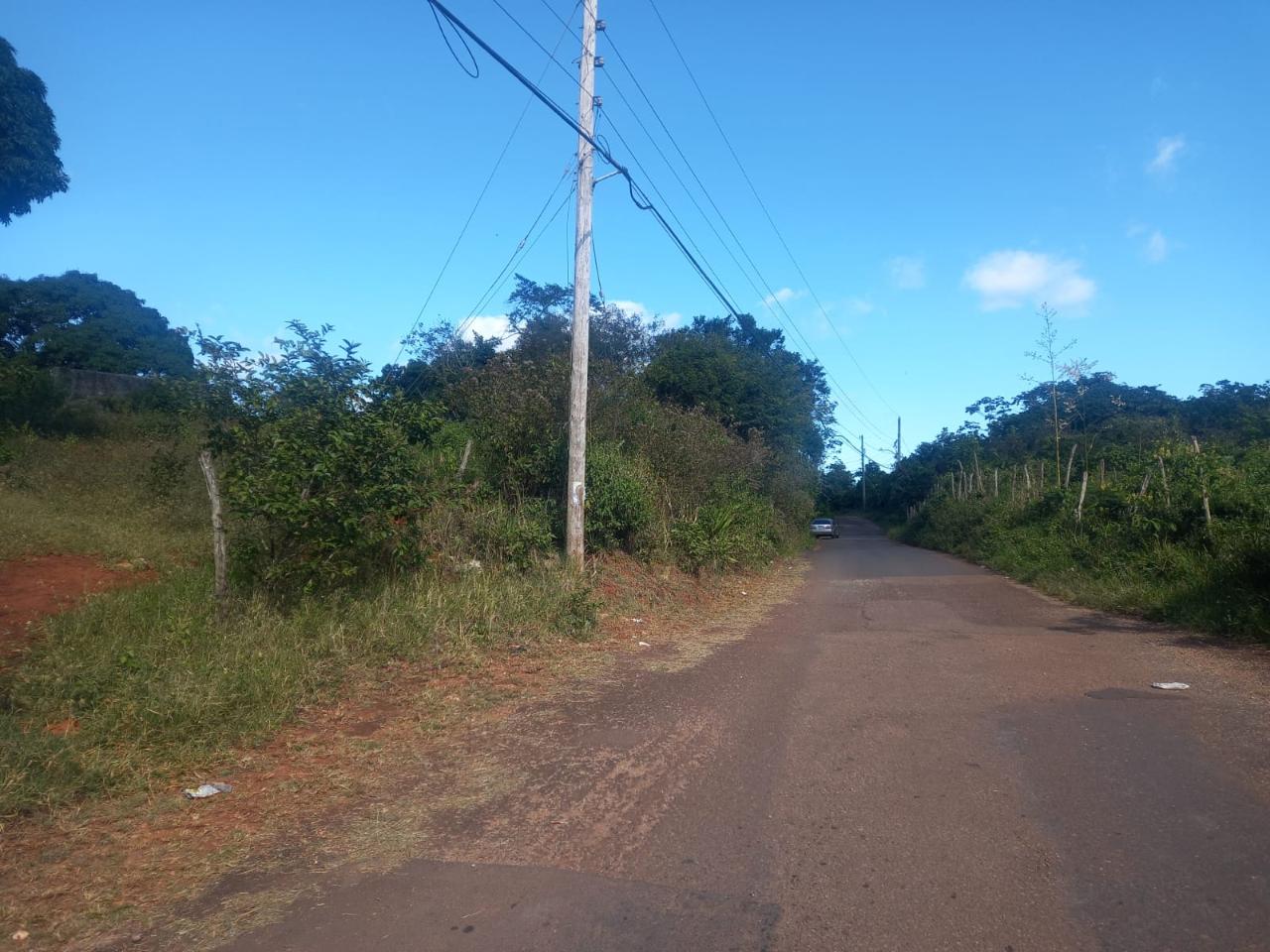 Eighth image of Albion Knockpatrick, Manc in Knockpatrick, Manchester, Jamaica - property is For Sale