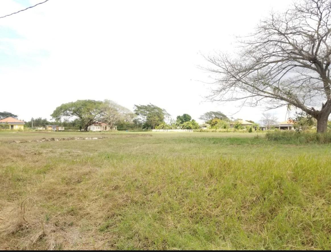Residential-Lot-for-Sale-in-Aqueduct-Country-Club-Bushy-Park-Jamaica Eighth image of Lot 71 Aqueduct Country Club in Bushy Park, St. Catherine, Jamaica - property is For Sale