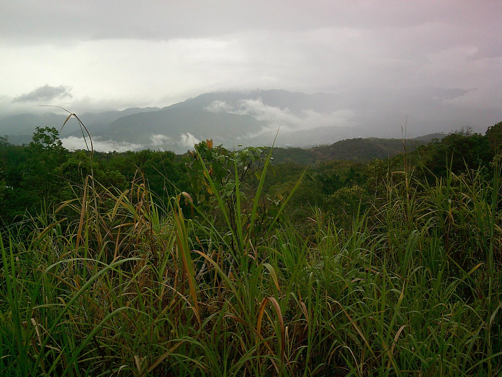 Third image of Bellevue Heiights in Spanish Town, St. Catherine, Jamaica - property is For Sale