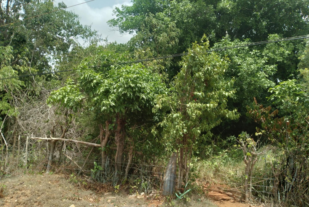 First image of Bellevue , St. John's P.a in Bellevue, St. Catherine, Jamaica - property is For Sale