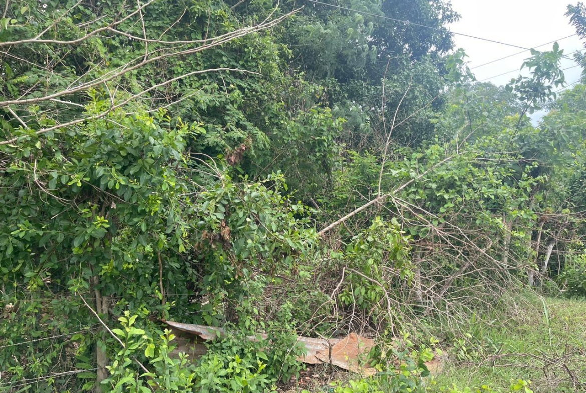 Fifteenth image of Bellevue , St. John's P.a in Bellevue, St. Catherine, Jamaica - property is For Sale