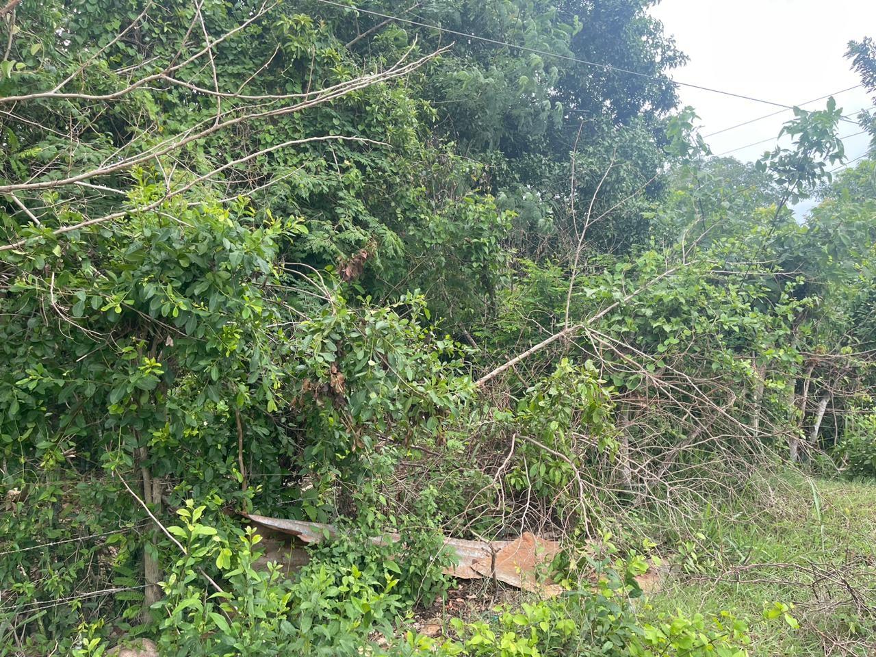 Fifteenth image of Bellevue , St. John's P.a in Bellevue, St. Catherine, Jamaica - property is For Sale