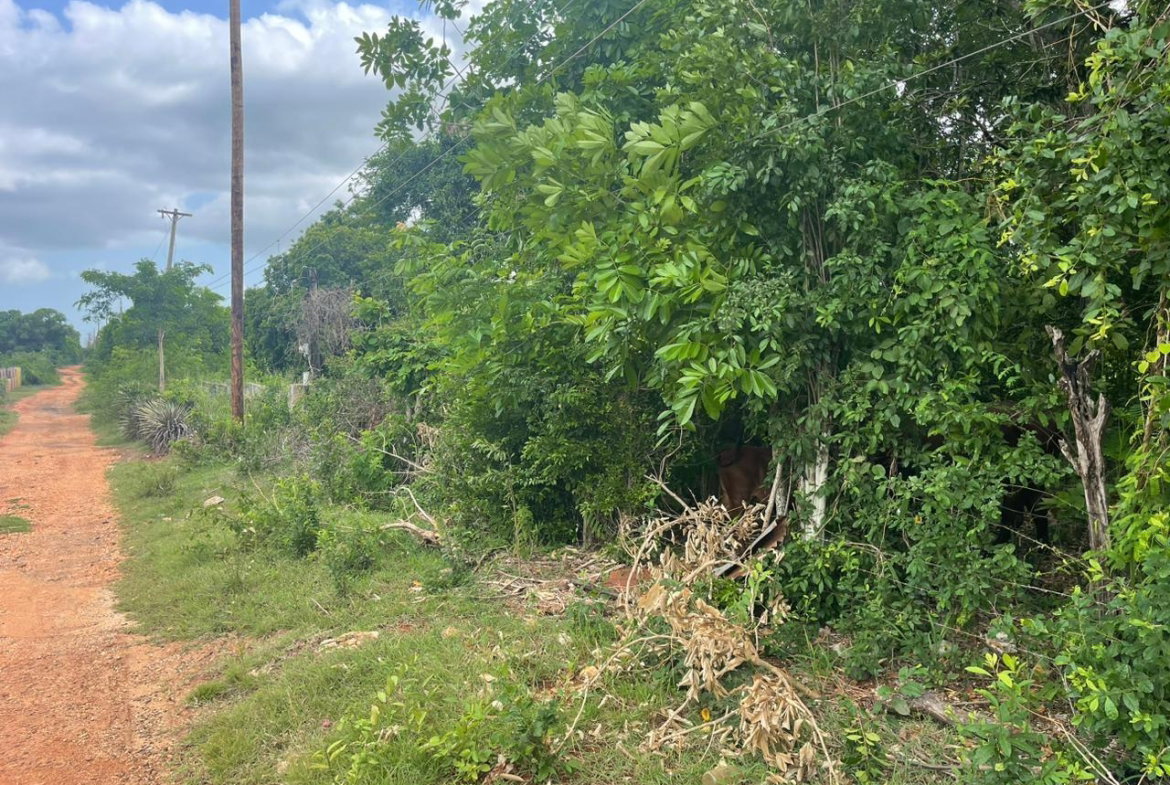 Nineteenth image of Bellevue , St. John's P.a in Bellevue, St. Catherine, Jamaica - property is For Sale