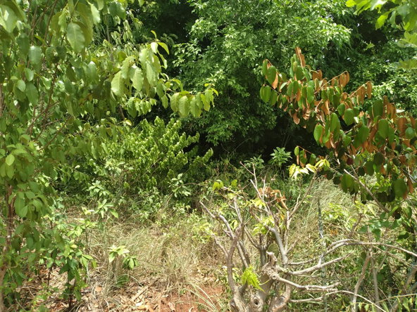 Fourth image of Bellevue , St. John's P.a in Bellevue, St. Catherine, Jamaica - property is For Sale