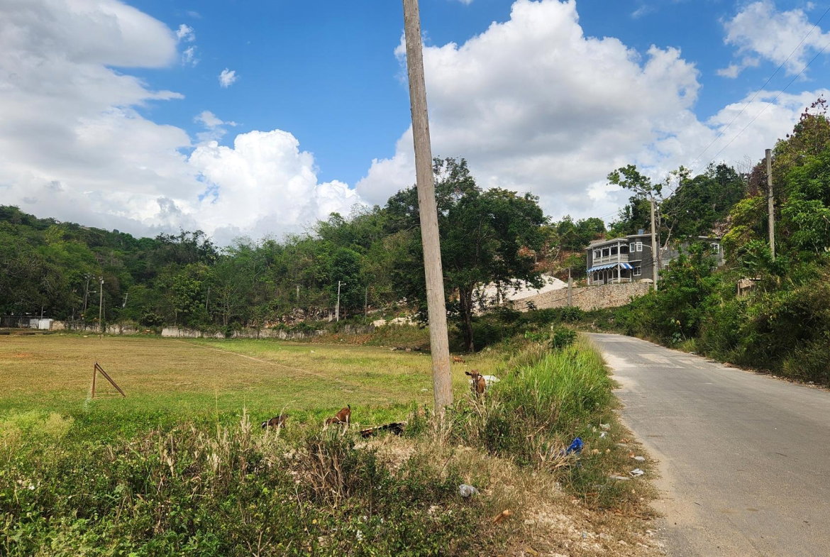 Eleventh image of Lot 37 Belvedere Drive, Kingston in Kingston 19, St. Andrew, Jamaica - property is For Sale