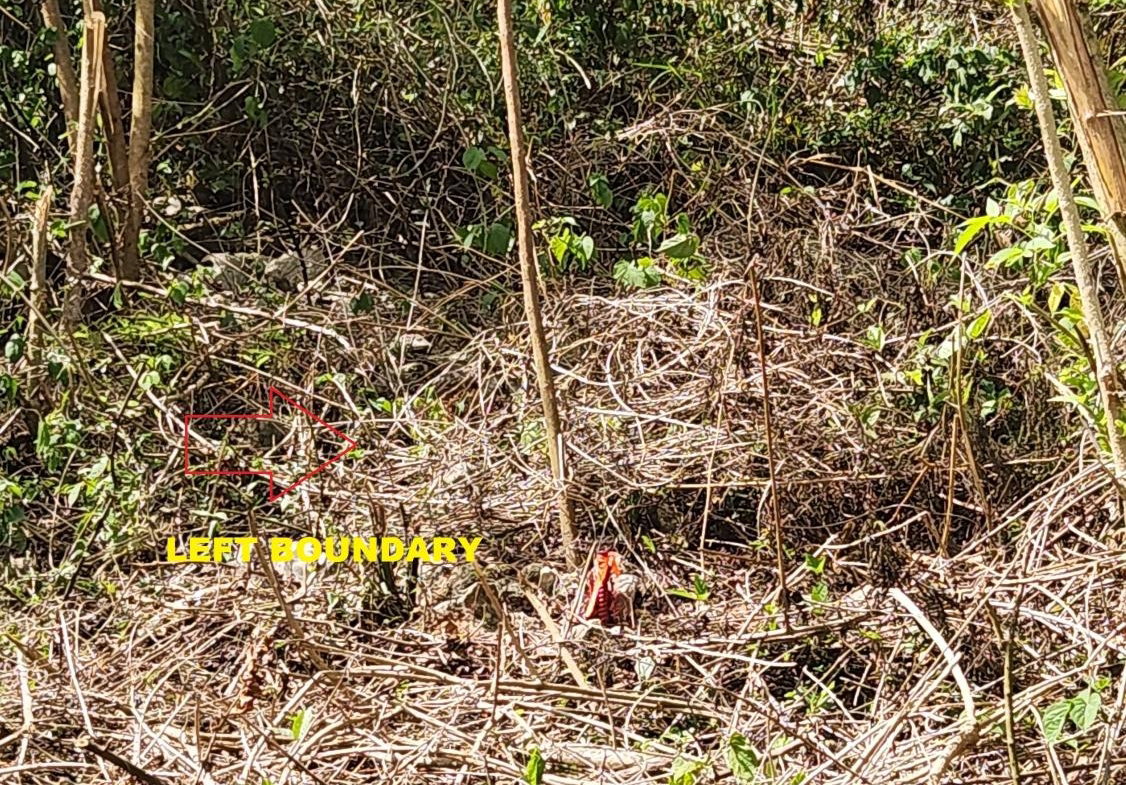 Twelfth image of Lot 37 Belvedere Drive, Kingston in Kingston 19, St. Andrew, Jamaica - property is For Sale