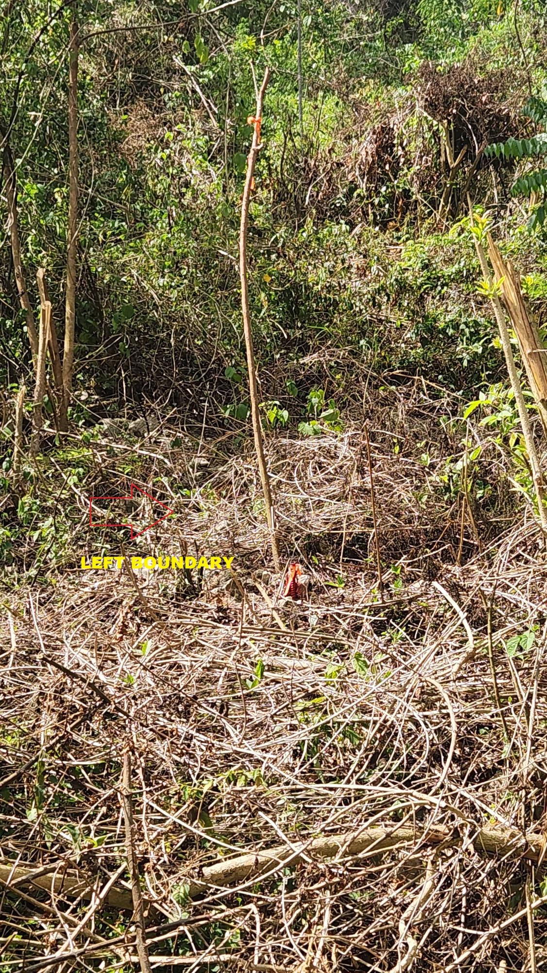 Twelfth image of Lot 37 Belvedere Drive, Kingston in Kingston 19, St. Andrew, Jamaica - property is For Sale