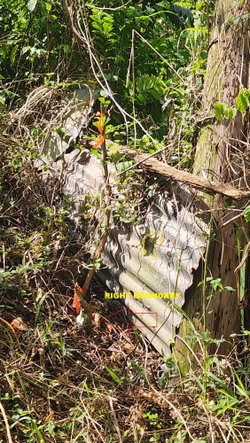 Thirteenth image of Lot 37 Belvedere Drive, Kingston in Kingston 19, St. Andrew, Jamaica - property is For Sale