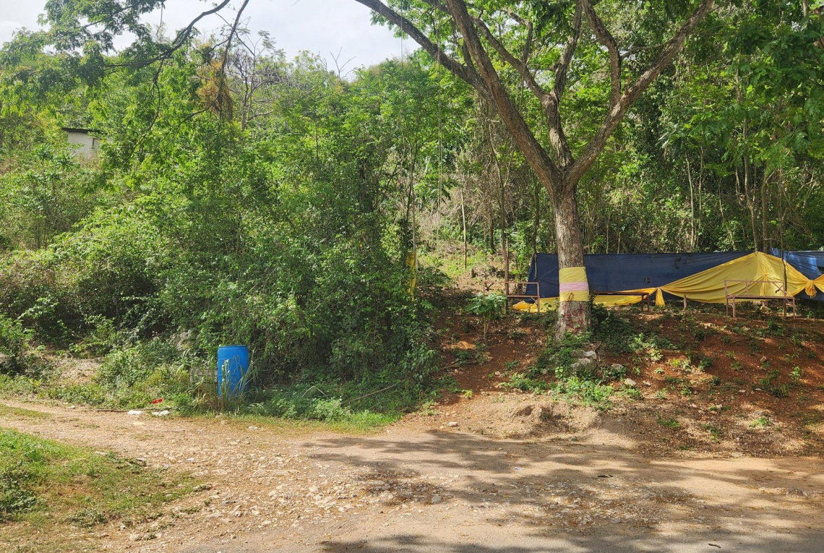 Fourteenth image of Lot 37 Belvedere Drive, Kingston in Kingston 19, St. Andrew, Jamaica - property is For Sale