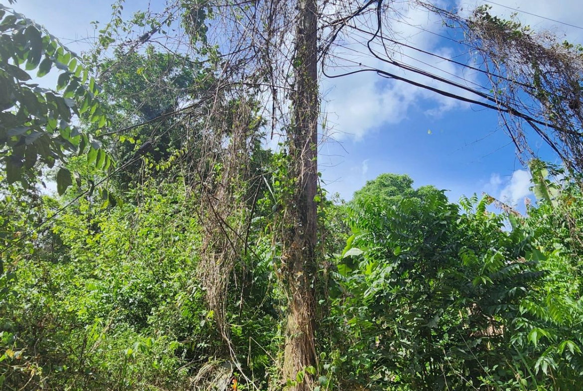 Fifteenth image of Lot 37 Belvedere Drive, Kingston in Kingston 19, St. Andrew, Jamaica - property is For Sale