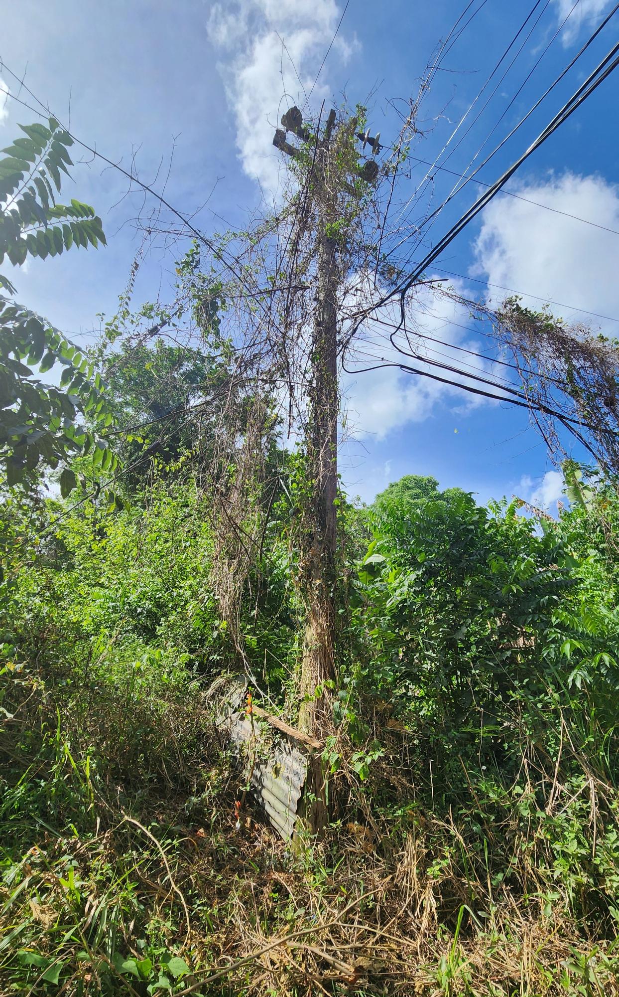 Fifteenth image of Lot 37 Belvedere Drive, Kingston in Kingston 19, St. Andrew, Jamaica - property is For Sale