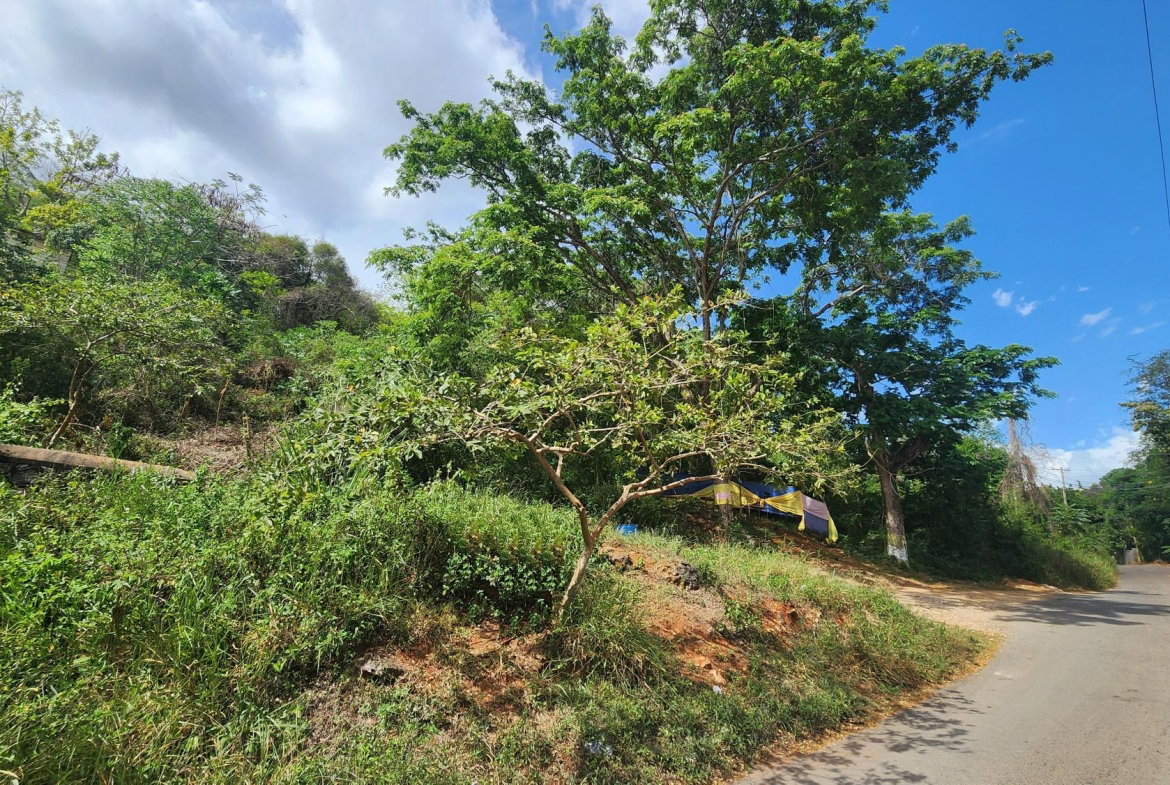 Sixteenth image of Lot 37 Belvedere Drive, Kingston in Kingston 19, St. Andrew, Jamaica - property is For Sale