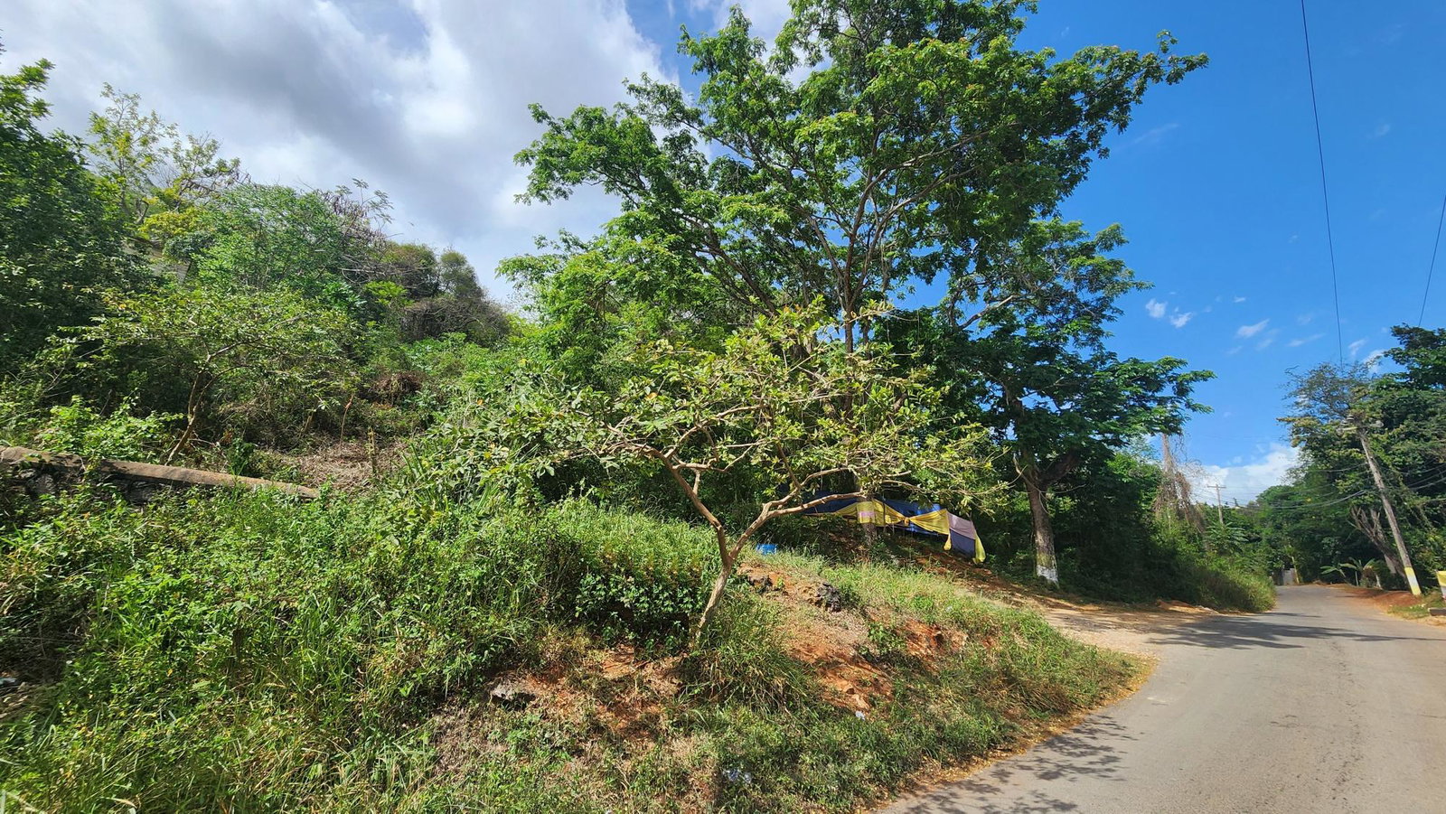 Sixteenth image of Lot 37 Belvedere Drive, Kingston in Kingston 19, St. Andrew, Jamaica - property is For Sale