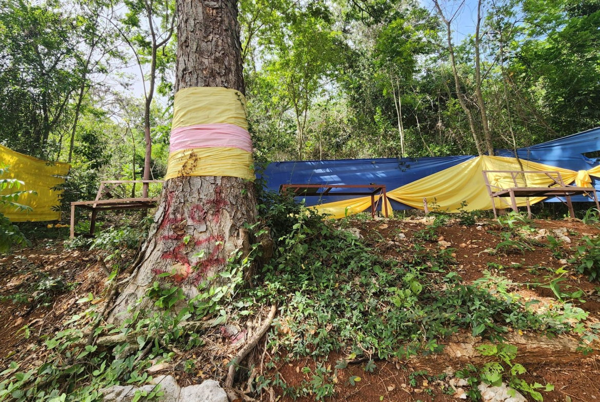 Eighth image of Lot 37 Belvedere Drive, Kingston in Kingston 19, St. Andrew, Jamaica - property is For Sale