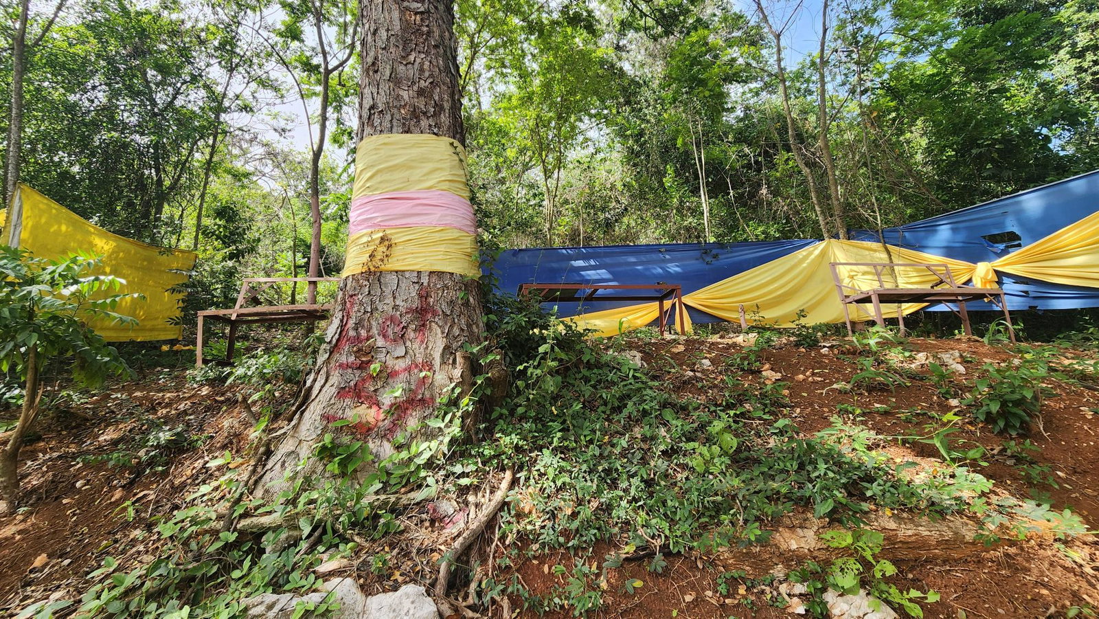 Eighth image of Lot 37 Belvedere Drive, Kingston in Kingston 19, St. Andrew, Jamaica - property is For Sale