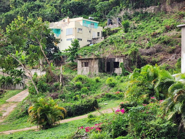 Sixth image of Lot 147 Belvedere in Red Hills, St. Andrew, Jamaica - property is For Sale