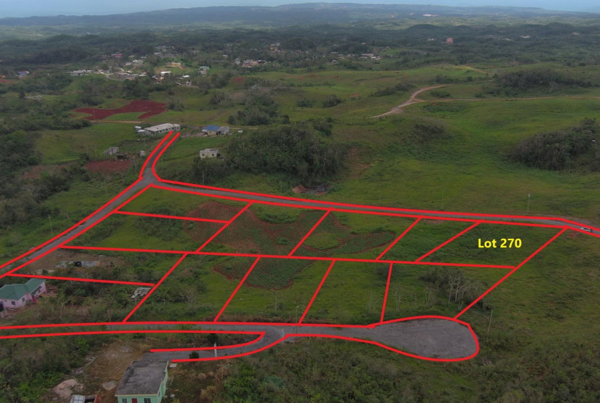 First image of Lot 270 Blenheim Manchester in Newport, Manchester, Jamaica - property is For Sale