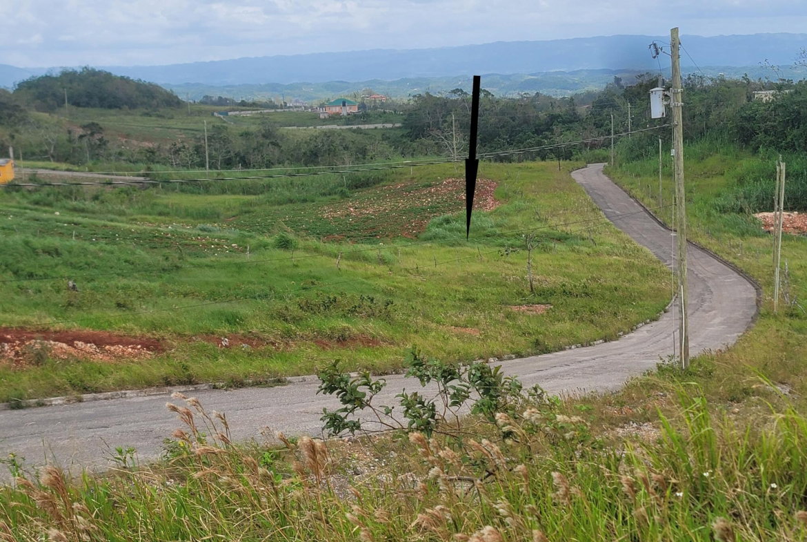 Fourth image of Lot 270 Blenheim Manchester in Newport, Manchester, Jamaica - property is For Sale