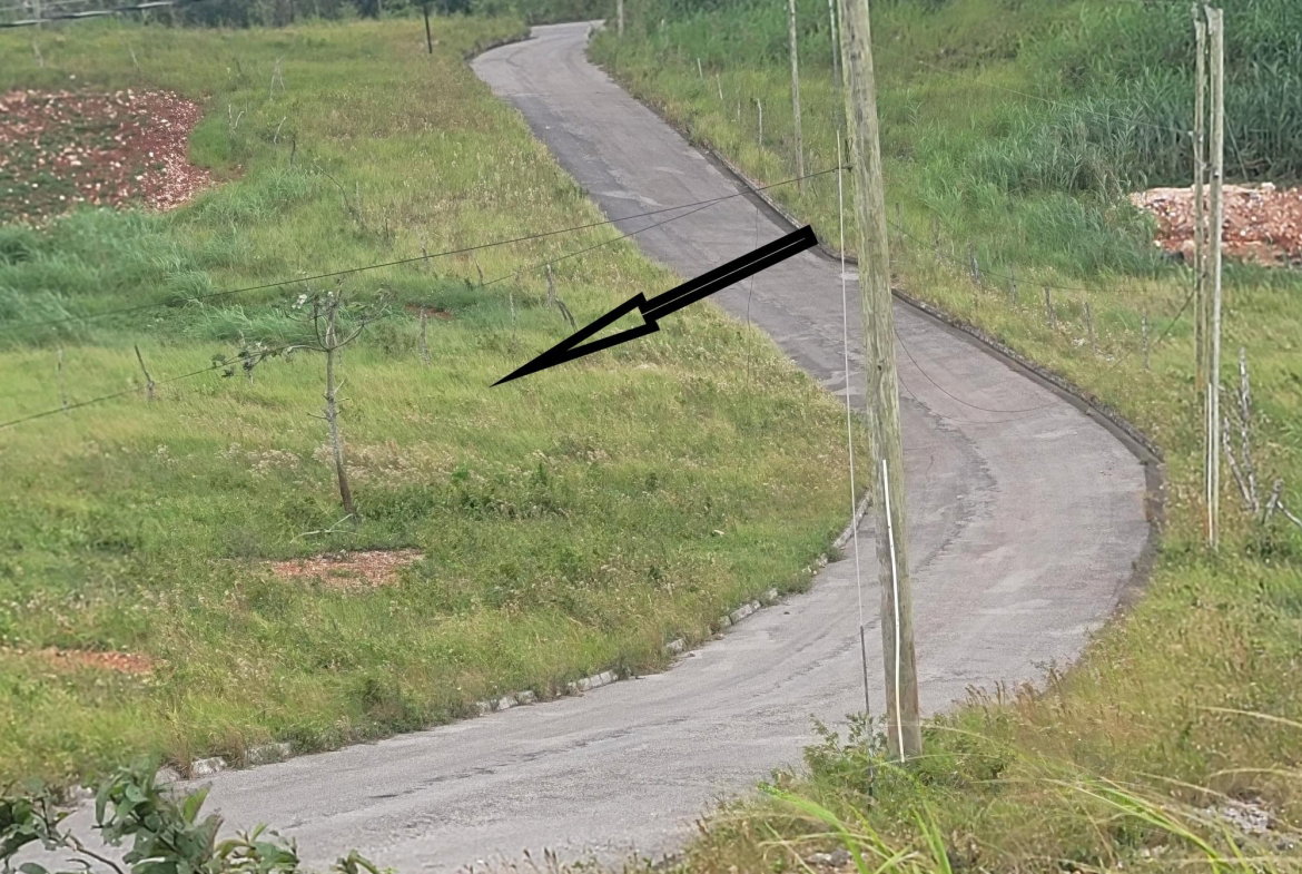 Fifth image of Lot 270 Blenheim Manchester in Newport, Manchester, Jamaica - property is For Sale
