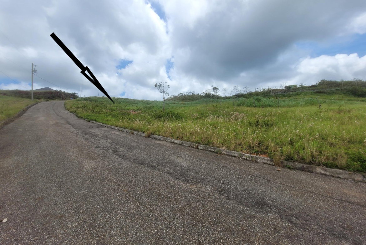 Sixth image of Lot 270 Blenheim Manchester in Newport, Manchester, Jamaica - property is For Sale