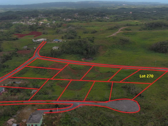 First image of Lot 270 Blenheim Manchester in Newport, Manchester, Jamaica - property is For Sale