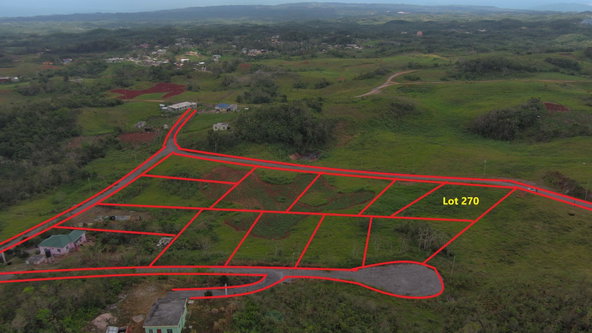First image of Lot 270 Blenheim Manchester in Newport, Manchester, Jamaica - property is For Sale