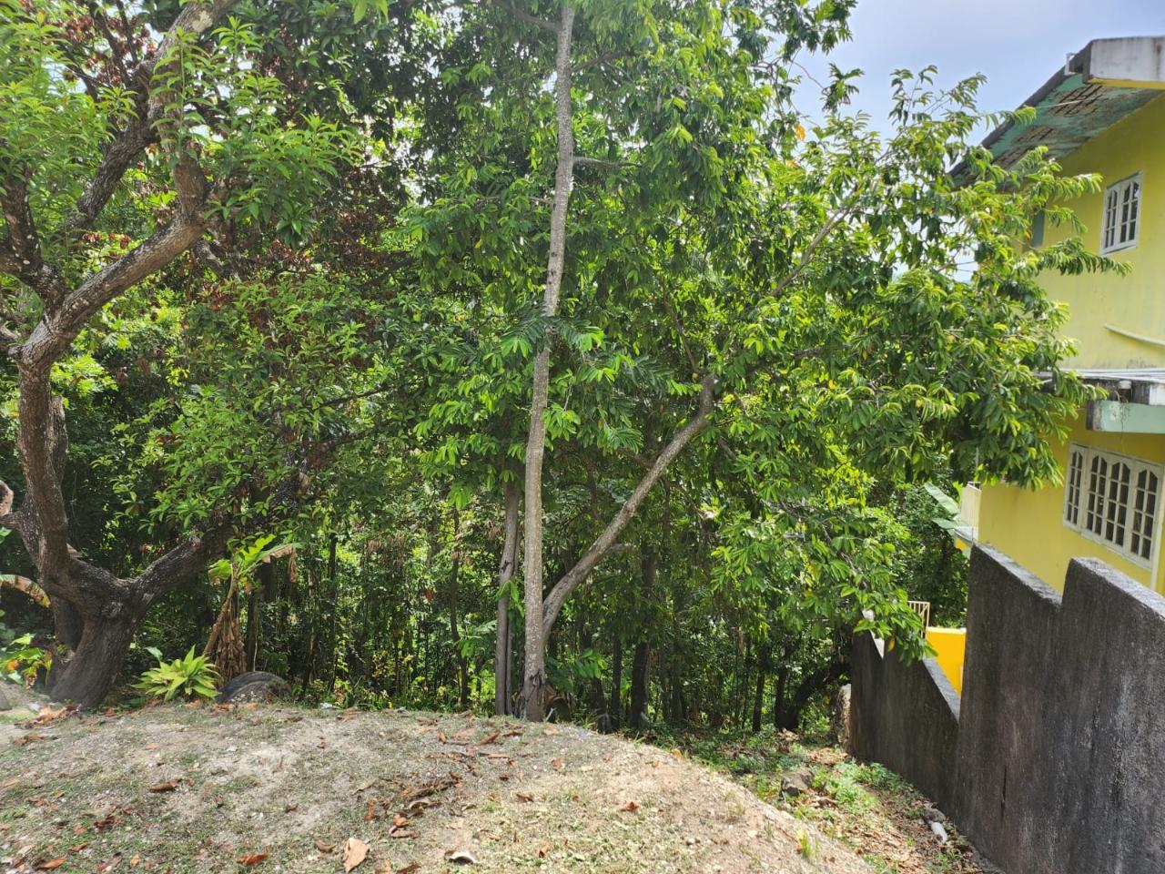 Second image of Breadnut Hill in Breadnut Hill, St. Ann, Jamaica - property is For Sale