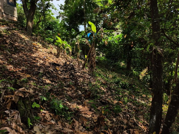Third image of Breadnut Hill in Breadnut Hill, St. Ann, Jamaica - property is For Sale