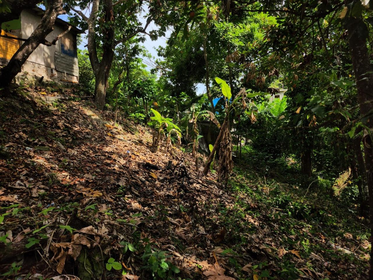 Fourth image of Breadnut Hill in Breadnut Hill, St. Ann, Jamaica - property is For Sale