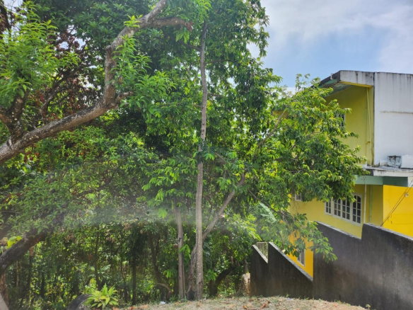 First image of Breadnut Hill in Breadnut Hill, St. Ann, Jamaica - property is For Sale