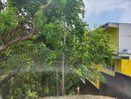 First image of Breadnut Hill in Breadnut Hill, St. Ann, Jamaica - property is For Sale