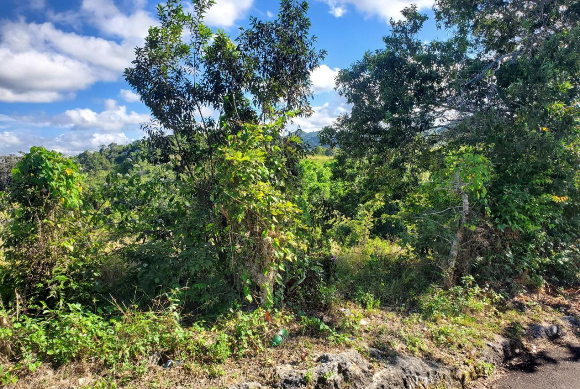 Third image of 1 Orange Street in Browns Town, St. Ann, Jamaica - property is For Sale