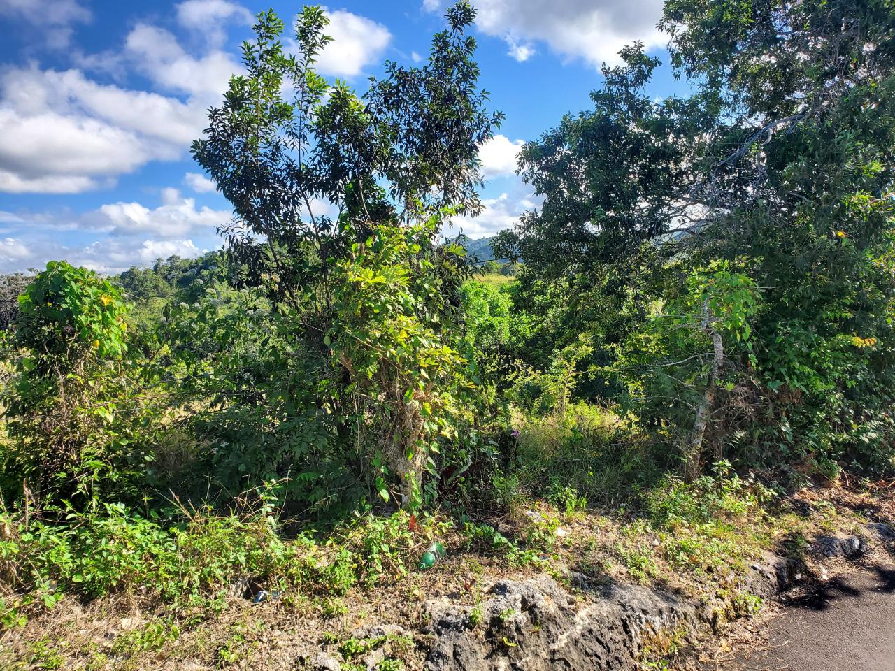 Third image of 1 Orange Street in Browns Town, St. Ann, Jamaica - property is For Sale