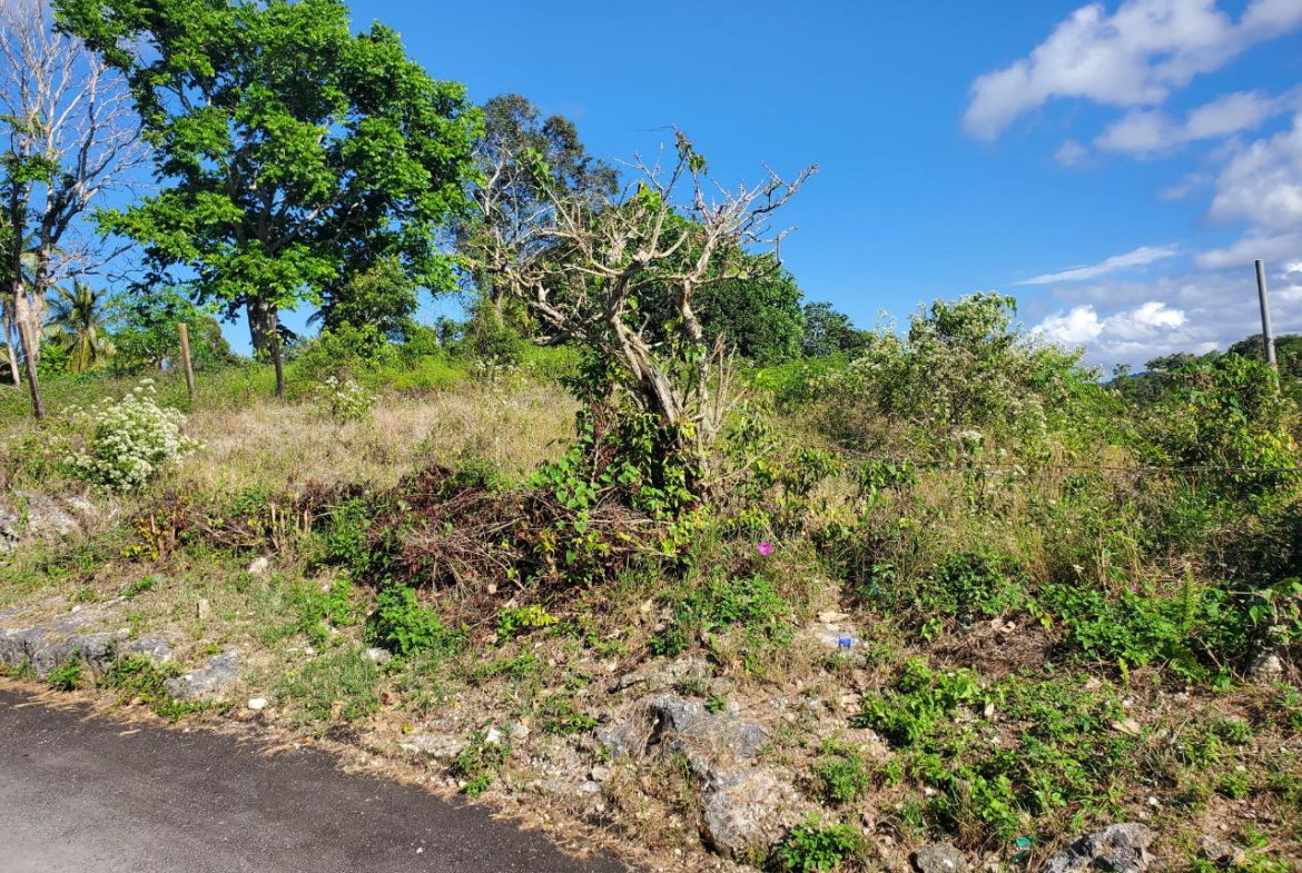 Fourth image of 1 Orange Street in Browns Town, St. Ann, Jamaica - property is For Sale
