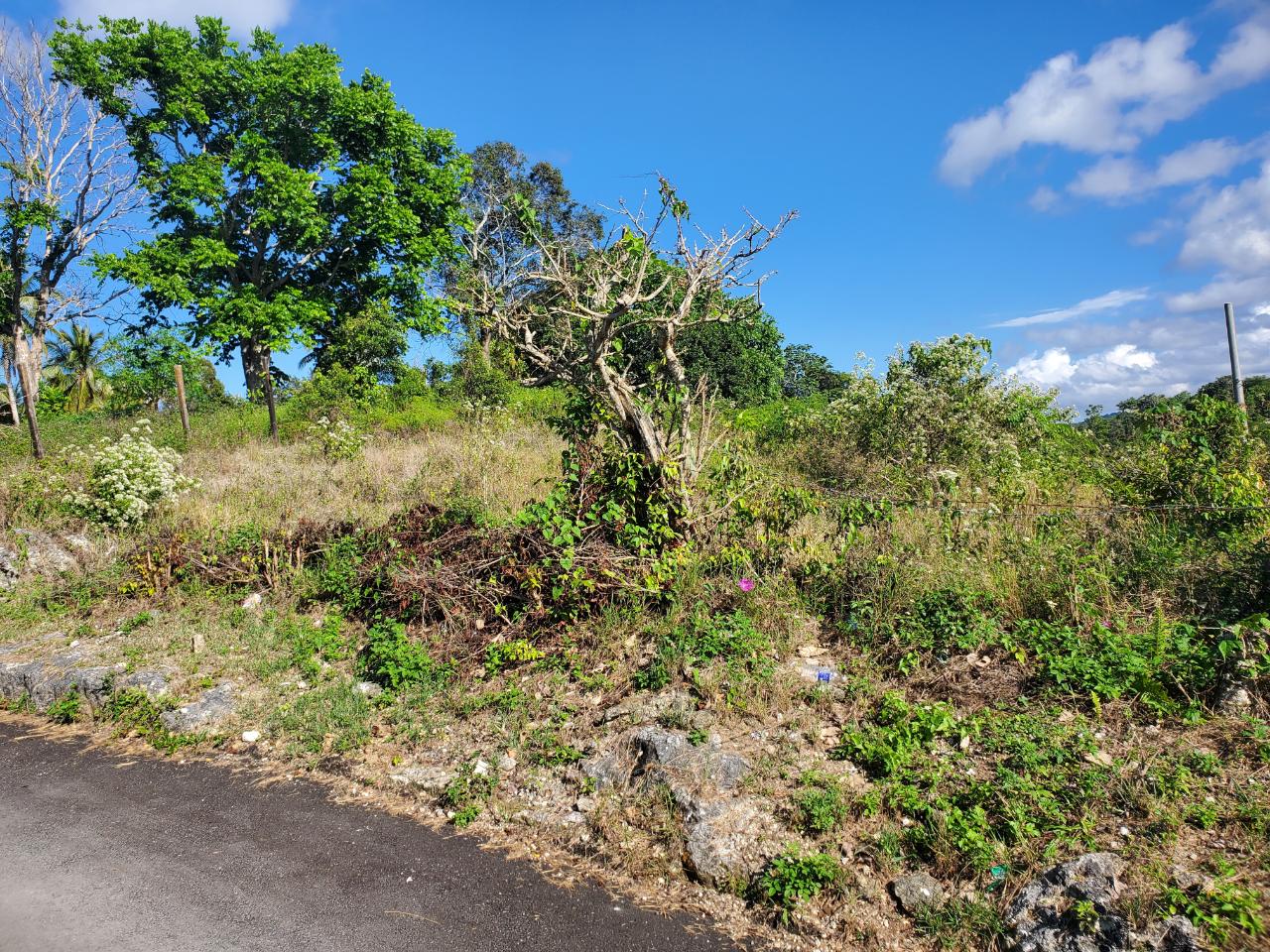 Fourth image of 1 Orange Street in Browns Town, St. Ann, Jamaica - property is For Sale