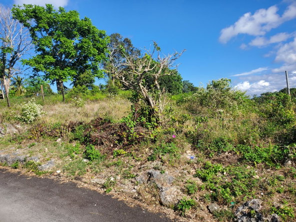 Fourth image of 1 Orange Street in Browns Town, St. Ann, Jamaica - property is For Sale