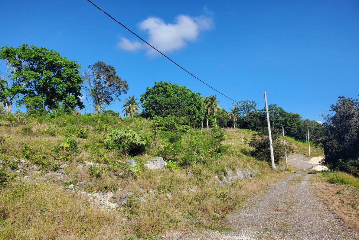 Sixth image of 1 Orange Street in Browns Town, St. Ann, Jamaica - property is For Sale