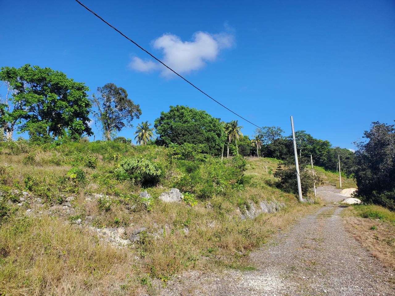 Sixth image of 1 Orange Street in Browns Town, St. Ann, Jamaica - property is For Sale
