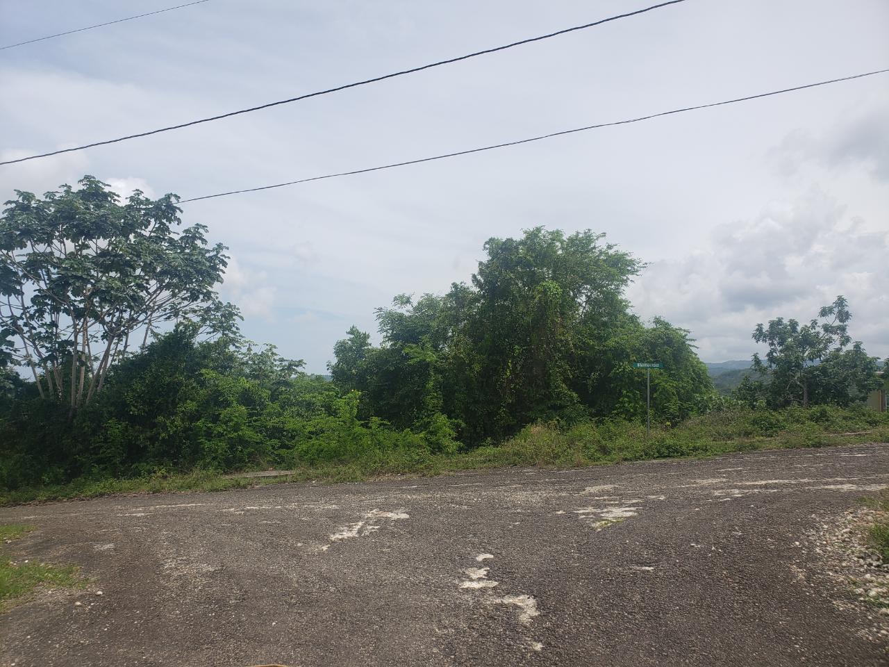 Eighth image of 197 Minards Estate in Browns Town, St. Ann, Jamaica - property is For Sale