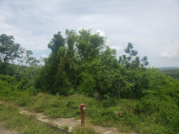 Ninth image of 197 Minards Estate in Browns Town, St. Ann, Jamaica - property is For Sale