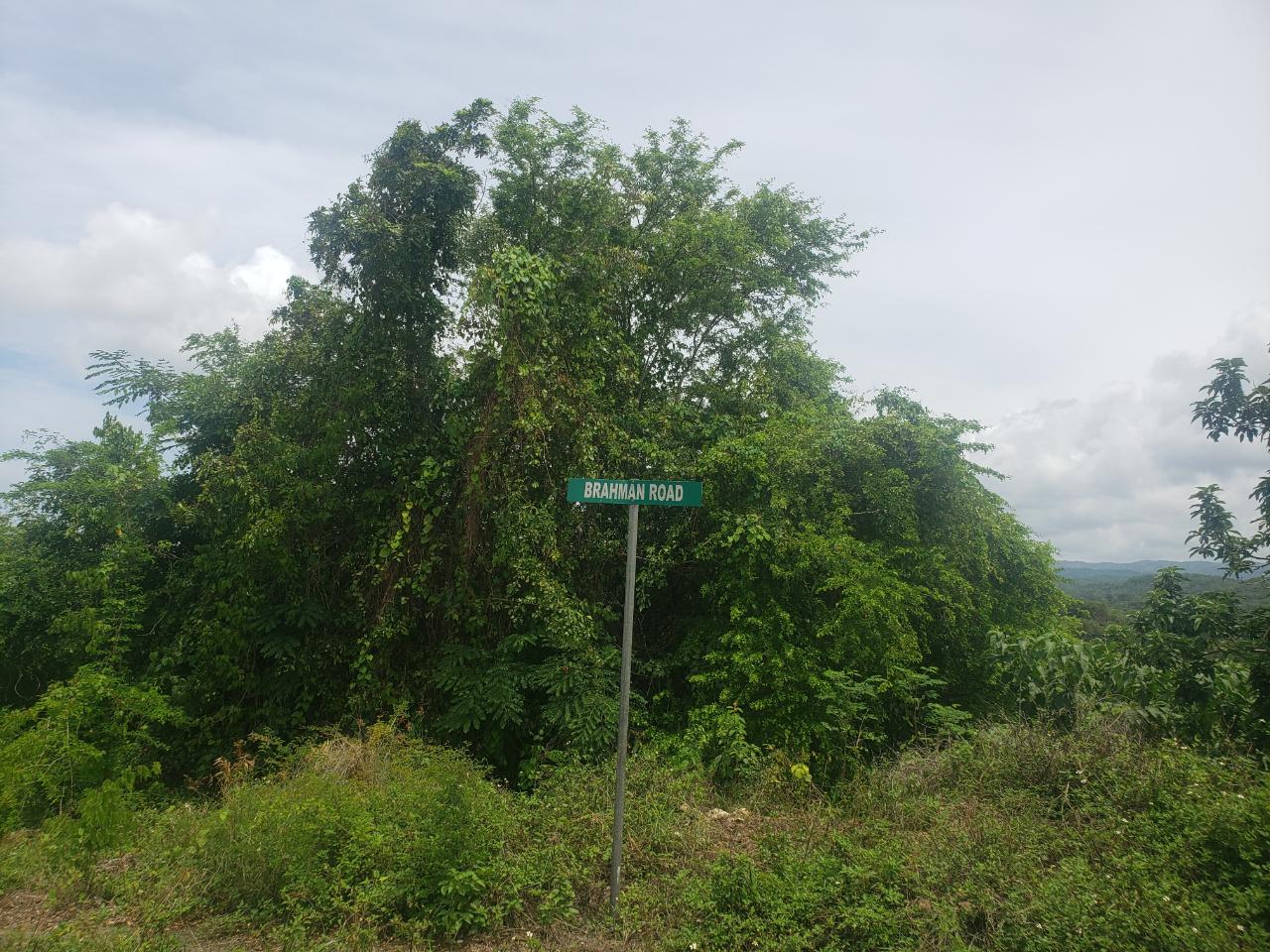 Tenth image of 197 Minards Estate in Browns Town, St. Ann, Jamaica - property is For Sale