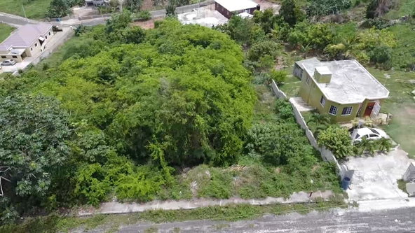 Fourth image of 198 Minard Estate in Browns Town, St. Ann, Jamaica - property is For Sale
