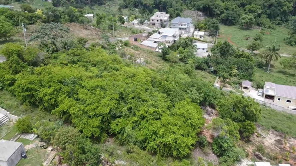 Sixth image of 198 Minard Estate in Browns Town, St. Ann, Jamaica - property is For Sale