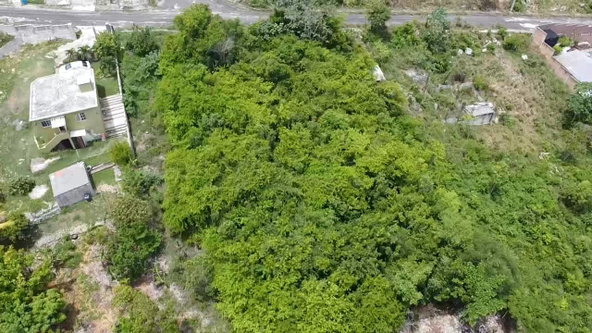 Seventh image of 198 Minard Estate in Browns Town, St. Ann, Jamaica - property is For Sale