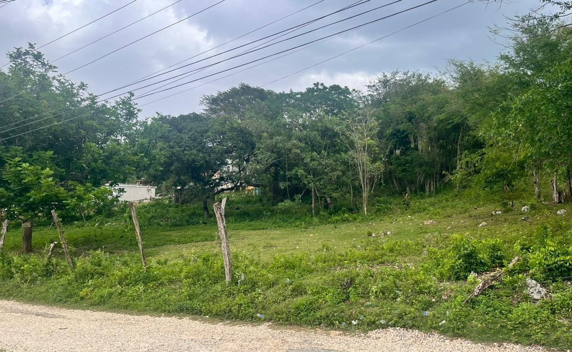 Fifth image of Lot 3- Burnt Ground in Santa Cruz, St. Elizabeth, Jamaica - property is For Sale