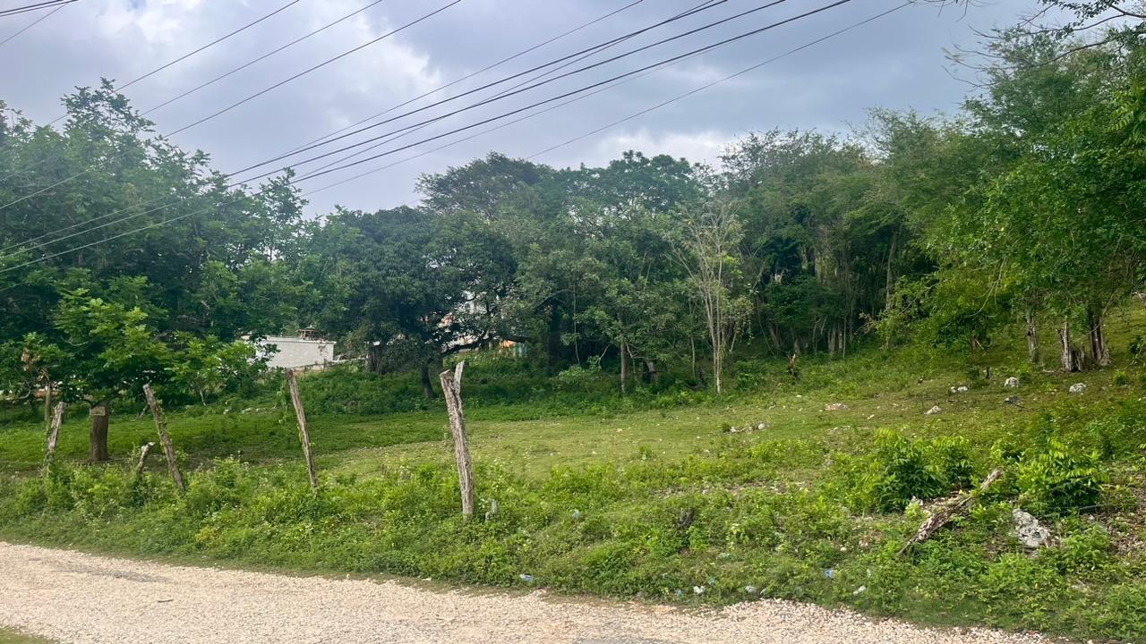 Fifth image of Lot 3- Burnt Ground in Santa Cruz, St. Elizabeth, Jamaica - property is For Sale